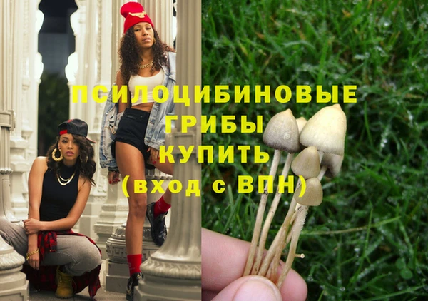 круглые Алзамай